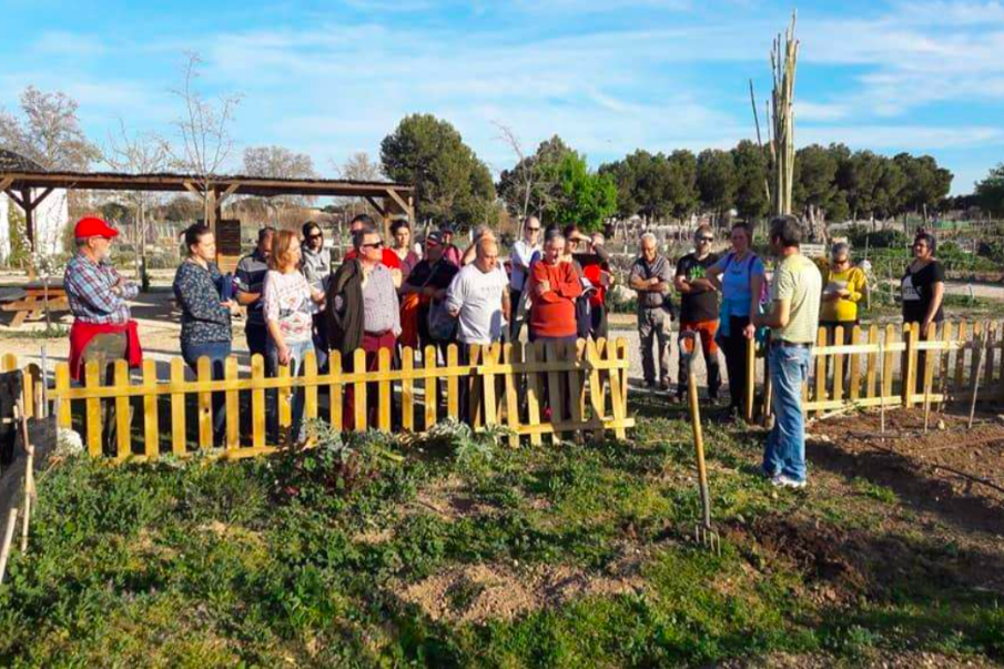 En este momento estás viendo FINALISTA Mejor iniciativa de Edificación sostenible y/o saludable en Aragón: Cultivando el Sur de Grupo Medio Ambiente Distrito Sur
