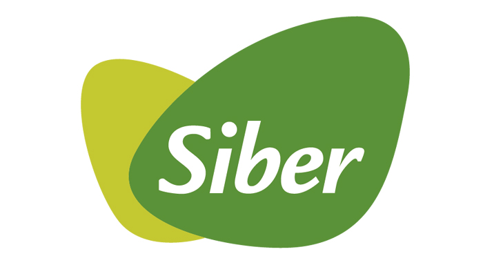 logo siber 700x400