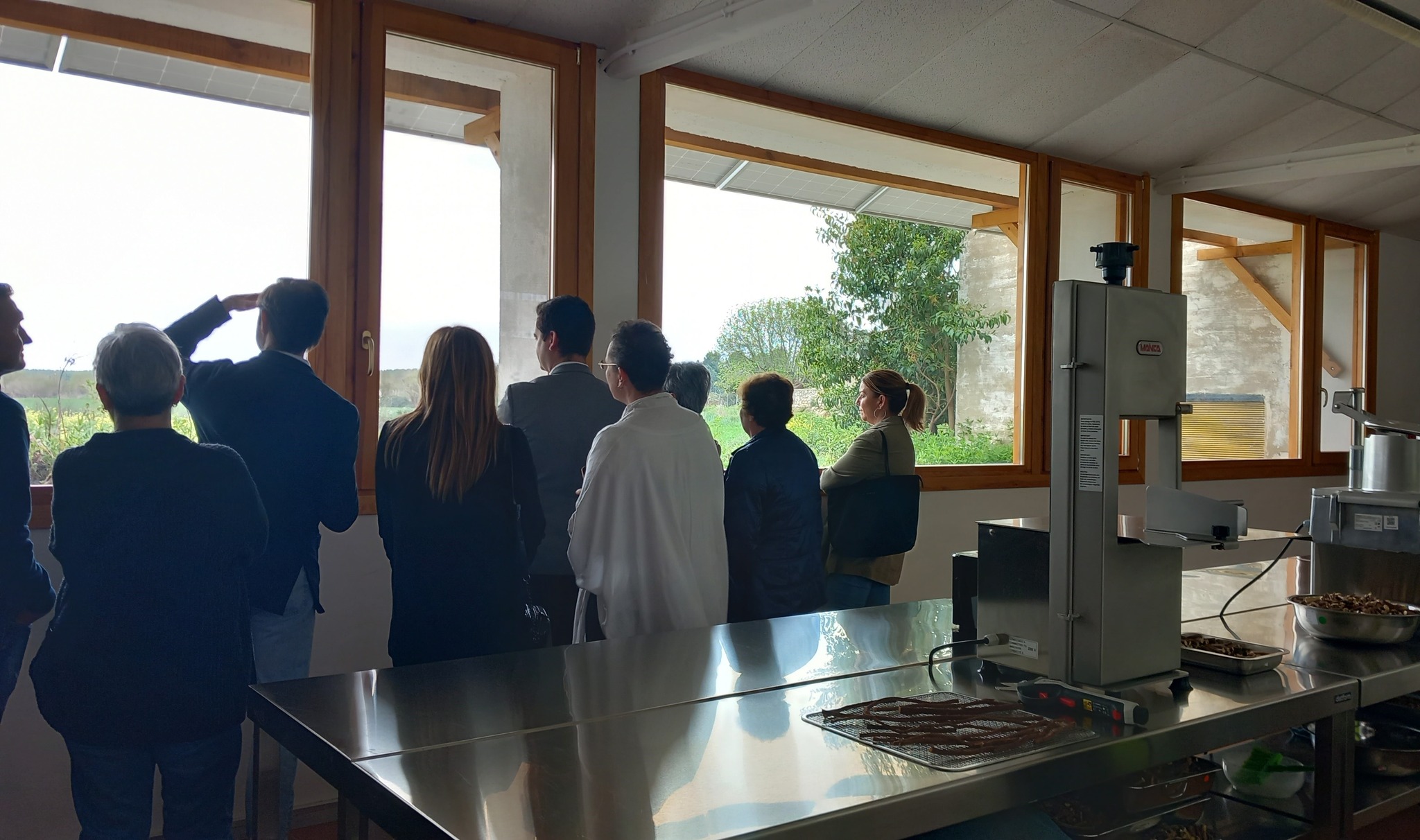 Proyecto lavadero Pina de Ebro